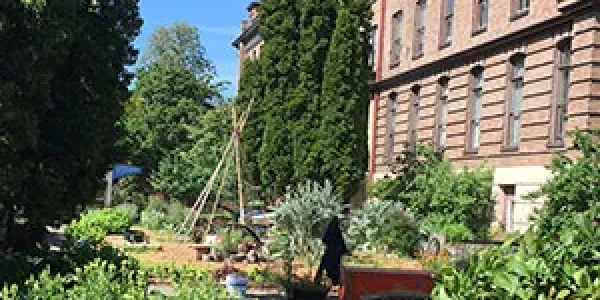 A Positive Alternative