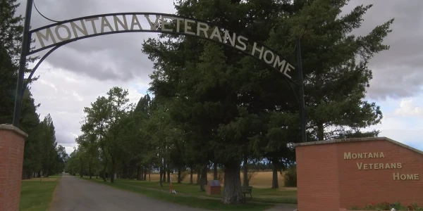 Columbia Counseling 607