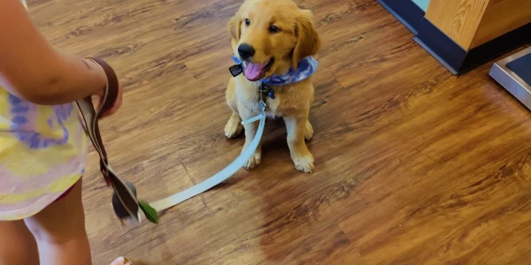 Sunrise Services - Mount Vernon College Way