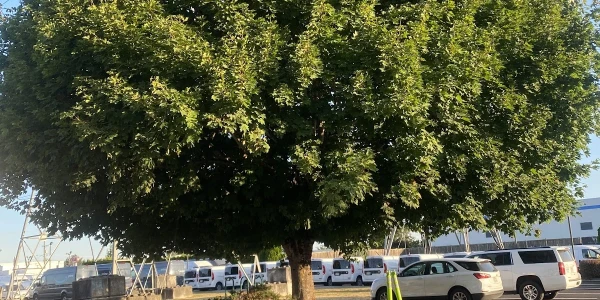 We Care Daily Clinics