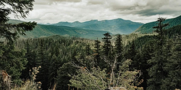 Willapa Behavioral Health